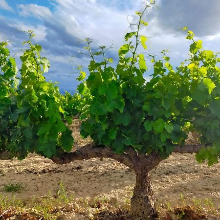 La Puerta Al Centro De Logrono Vino Crianza Y Desayuno Incluidos公寓 外观 照片